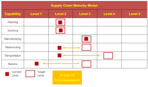 Maturity Model Example